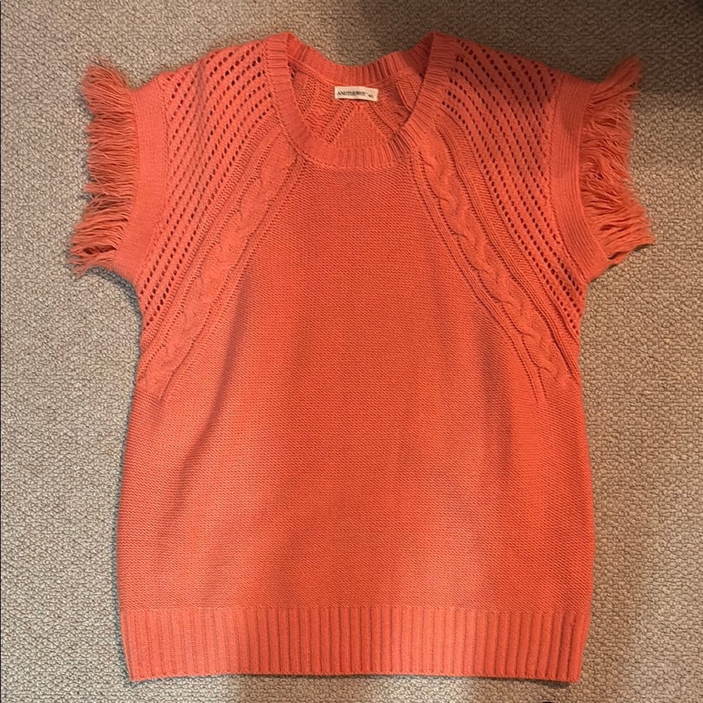 Zara Coral Fringe Sleeve Knit Top